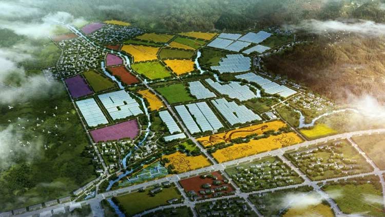 项目申请报告-四川国宇工程咨询有限公司