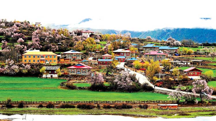 土地整治-四川国宇工程咨询有限公司