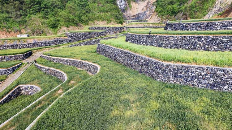 安仁乡土地整理项目规划设计报告